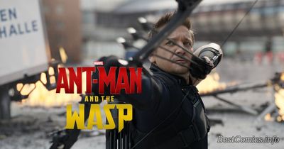 Человек Муравей, Оса и Соколиный Глаз объдинятся